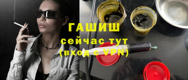 стаф Аркадак