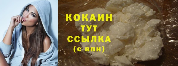 стаф Аркадак