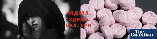 стаф Аркадак