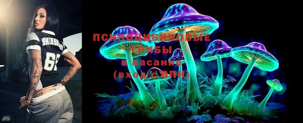 ешки Слюдянка
